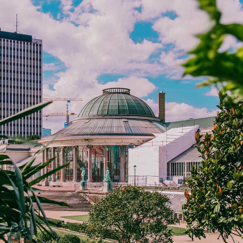 Enjoy live music in the botanic garden in Brussels