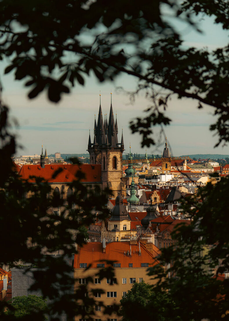 If you are in Prague in the winter season, use the chance to visit all culture events