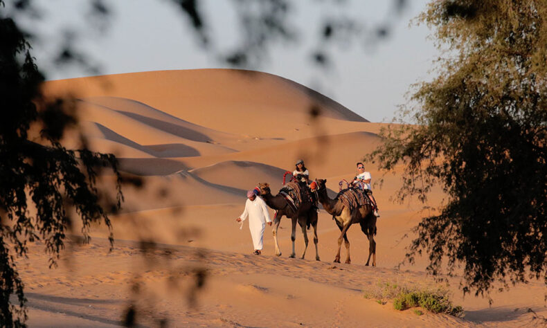 Travel through Abu Dhabi's desert sands on a camel