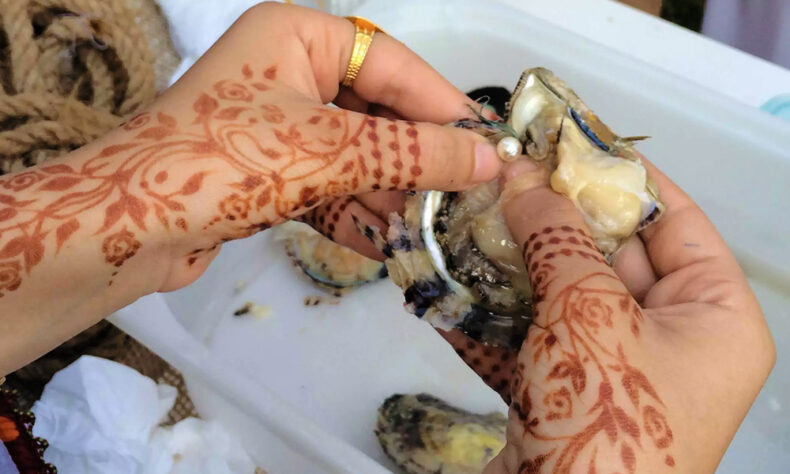 Try your hand at opening an oyster shell in Abu Dhabi pearl journey