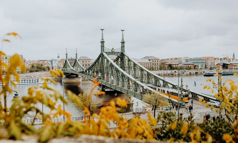 The Liberty Bridge in Budapest