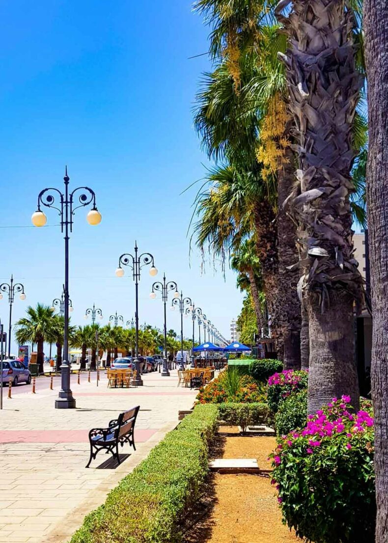 Enjoy walking on palm-lined promenade in Larnaca
