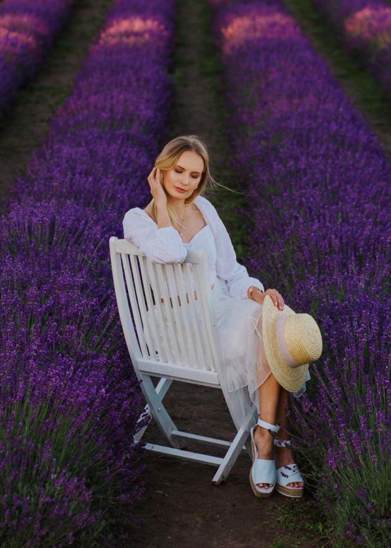 The lavender fields at Lillas Lavender in Kuldīga