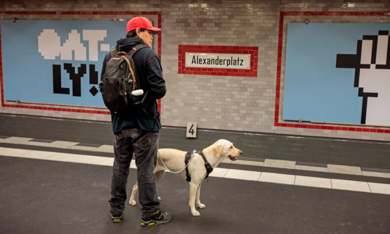Berlin is the great destination for the cool cats and dogs
