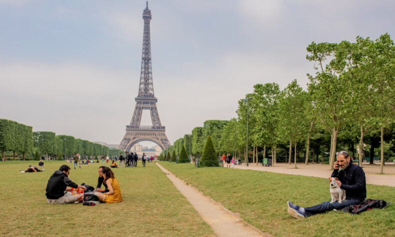 Enjoy trip to Paris together with your pet