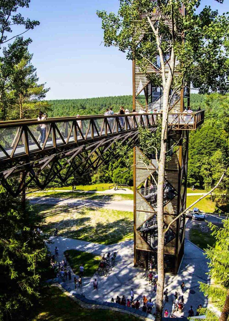 Enjoy walking above the trees - 21 metres above the ground