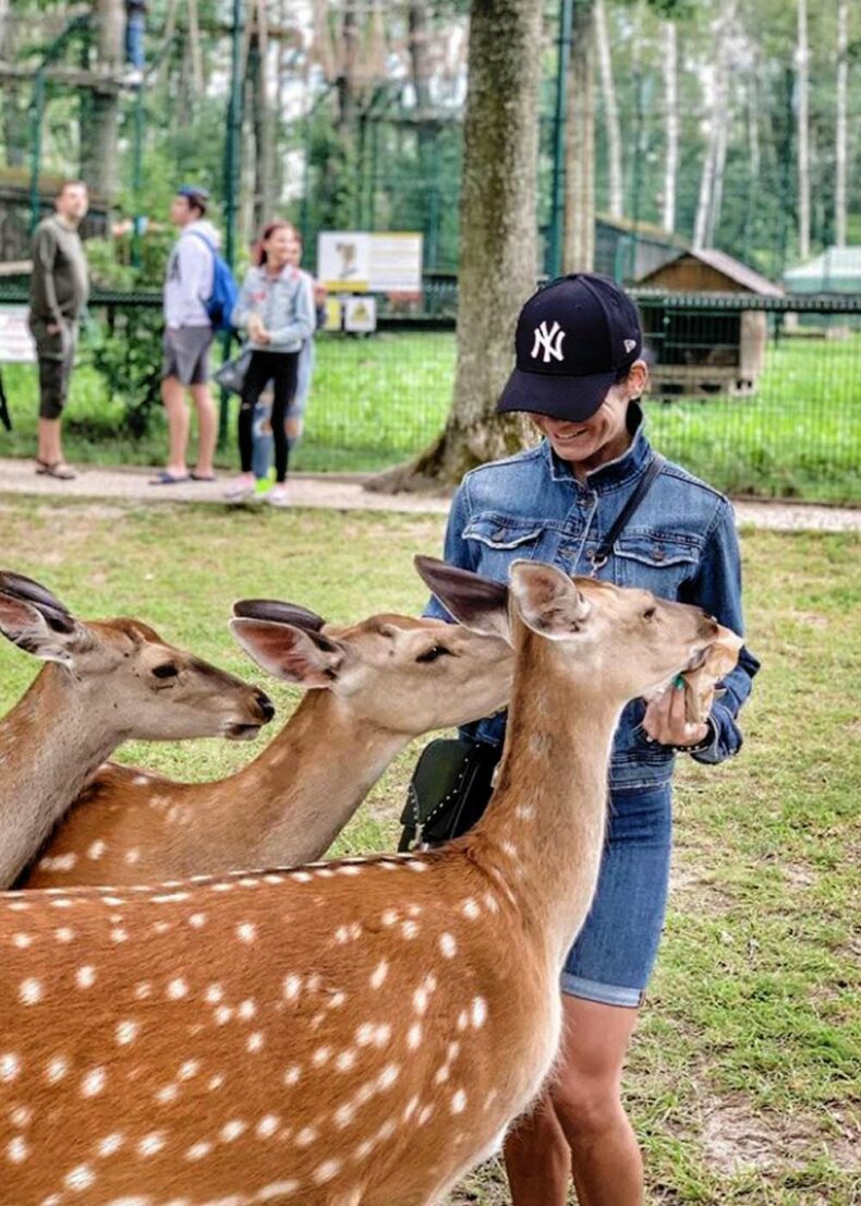 Have you ever fed a wild animal_ You can experience that in Raubonys Park