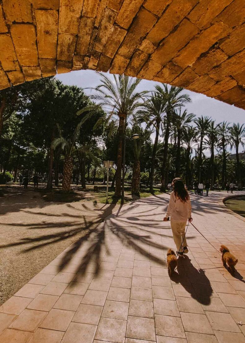 In 2019 Valencia was awarded the Pet-friendly city