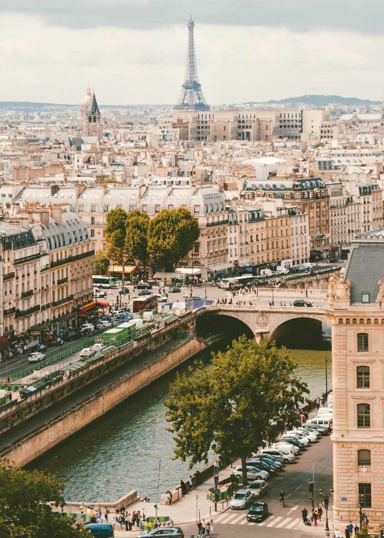 Parisians tend to go out with their dogs everywhere