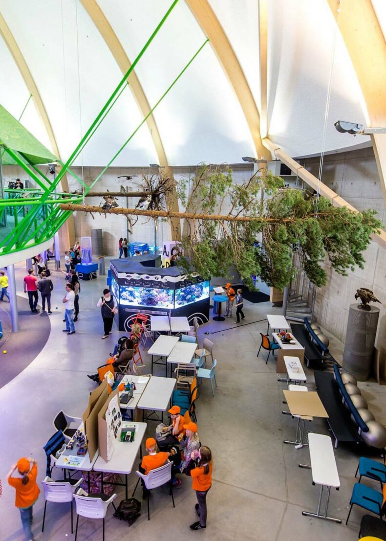 Science Centre AHHAA in Estonia will be a great experience both for kids and adults