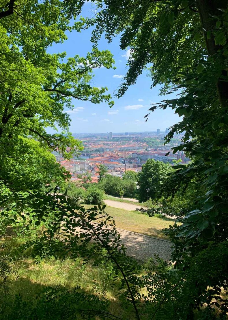 While you are in Prague, there is plenty of parks to enjoy with your pet