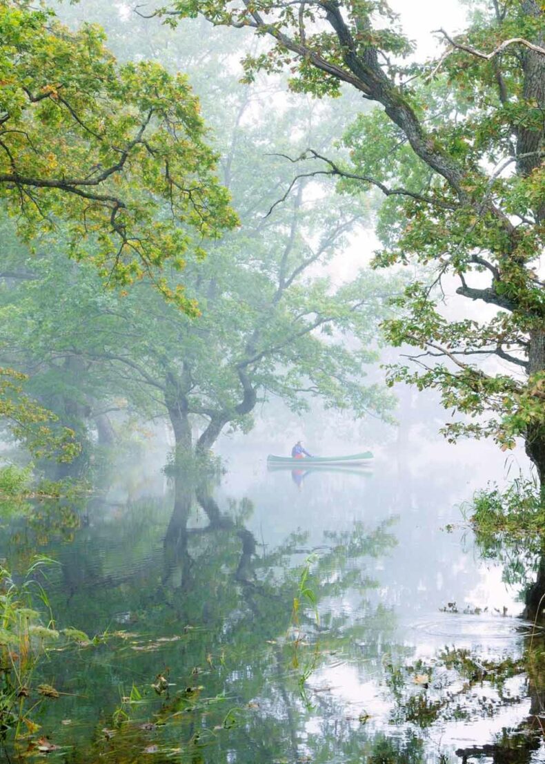 After winter go canoeing through the woods in Soomaa National Park