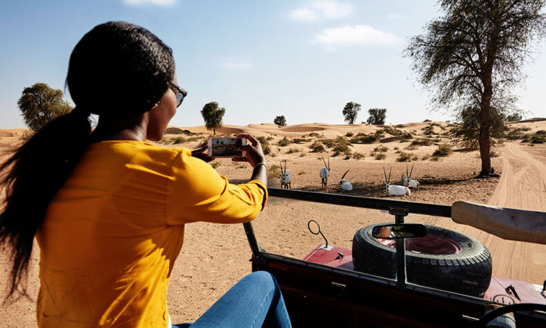 Experience the presence of wild animals during the ride into the desert