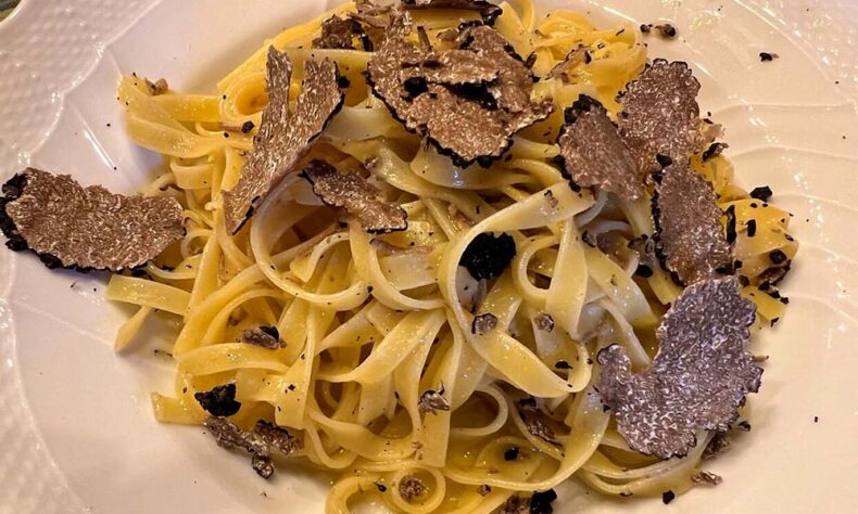 In San Miniato, you can try truffle hunting and tasting