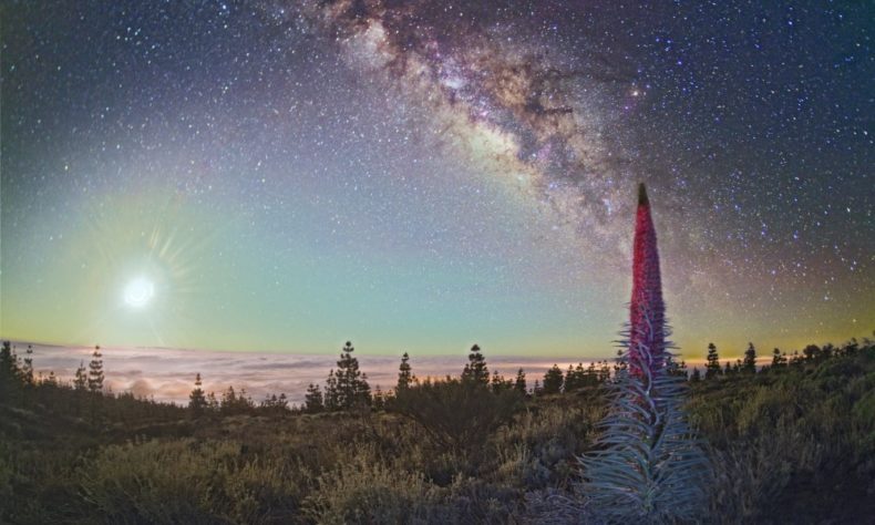 Tenerife might be the most amazing place for stargazing