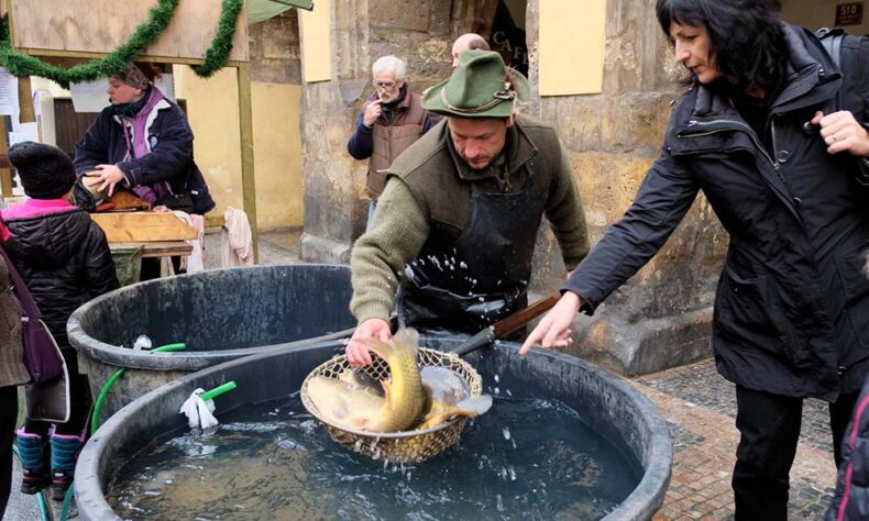 It's tradition to serve carp for Christmas feast in Prague