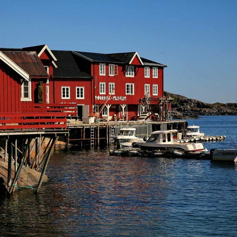 Visit the Lofoten Stockfish Museum to learn how stockfish are made