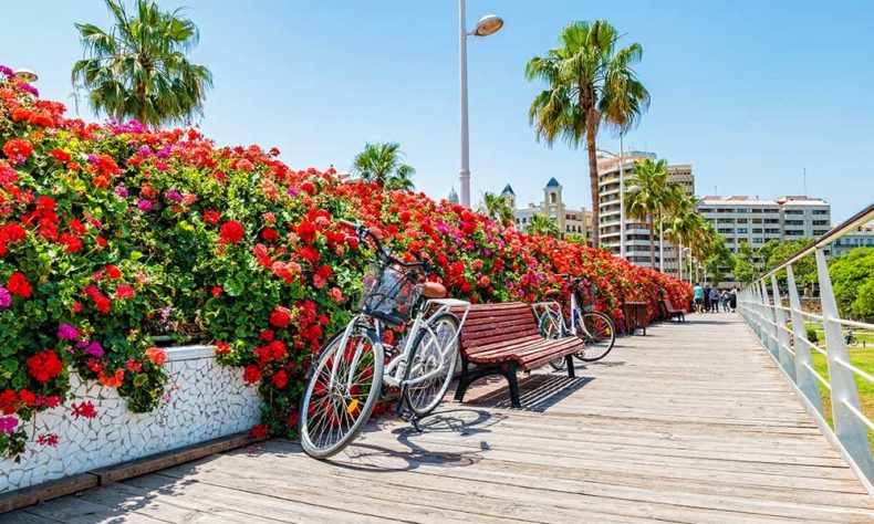 Valencia on a bicycle