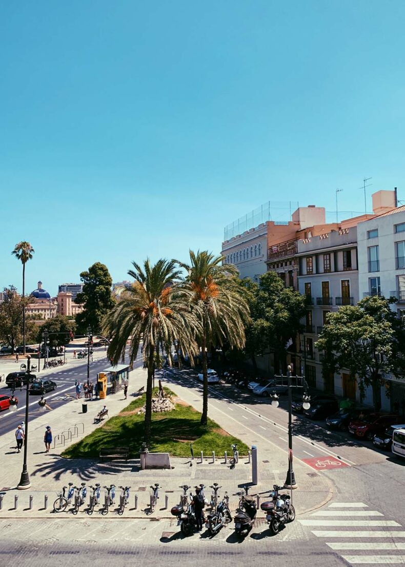 Enjoy the abundance of green areas and bicycles while you are in Valencia