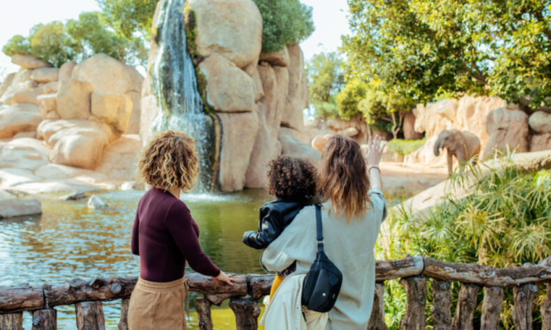 The no-cages Valencia Zoo or Bioparc