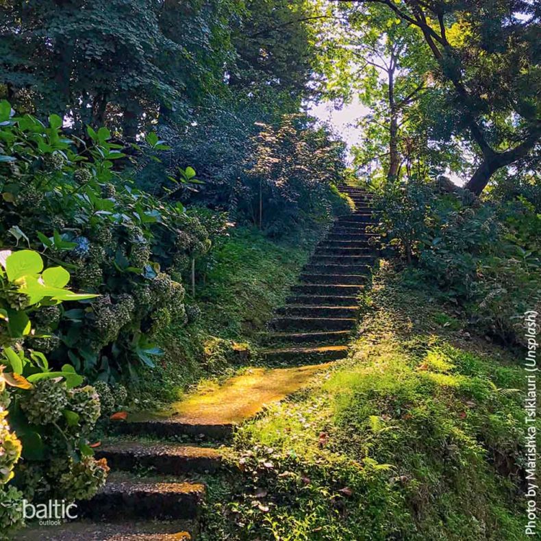 Batumi Botanical Garden - The great outdoors