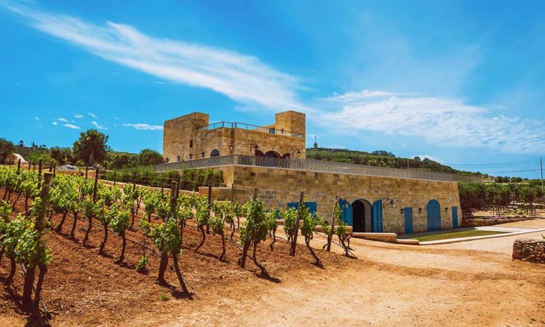 Local winemakers - Malta