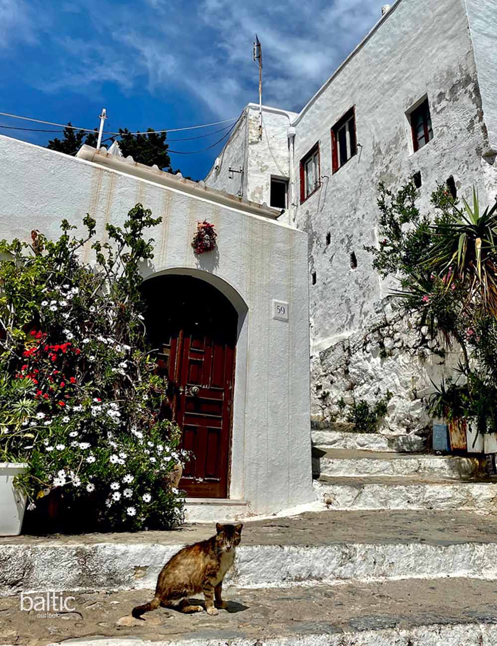 Rhodes island narrow cobblestone street with stray cat