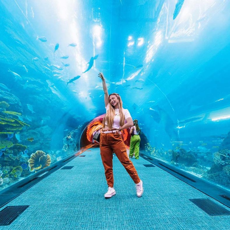 Aquarium tank in the shopping mall in Dubai