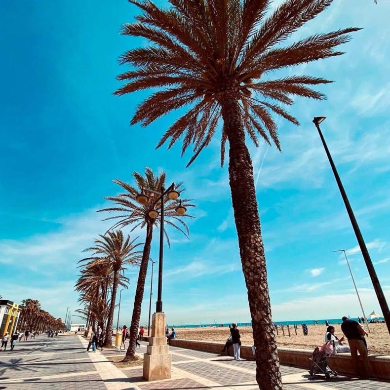 Palm-lined promenade in Valencia