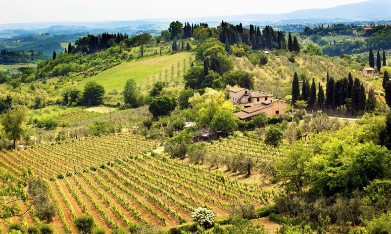 Pisa countryside