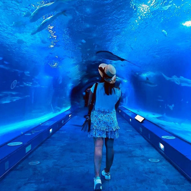The Oceanogràfic in City of arts and science