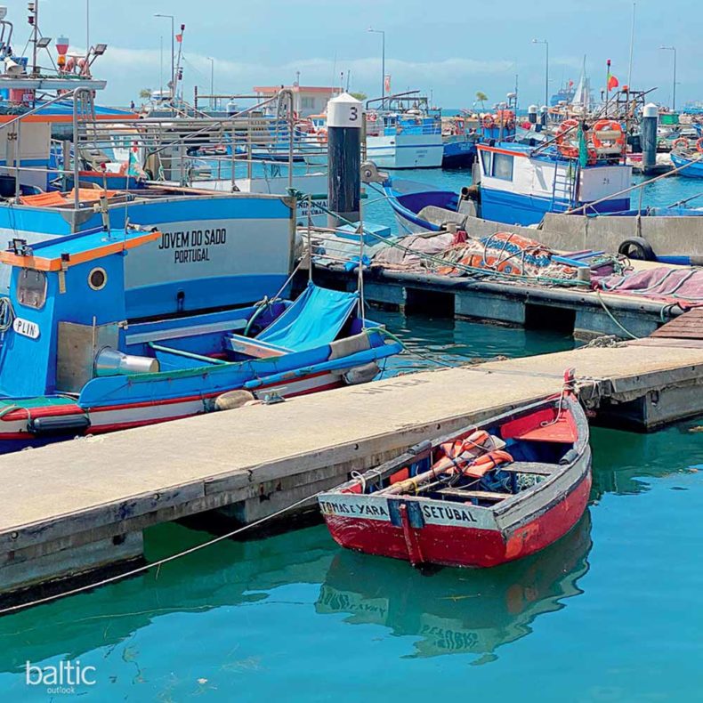 Fishing boats in Setúbal marina