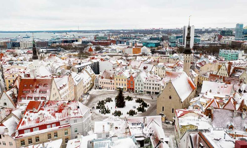 Get on to the lookout platforms to see Tallinn's red-tiled rooftops covered with white snow