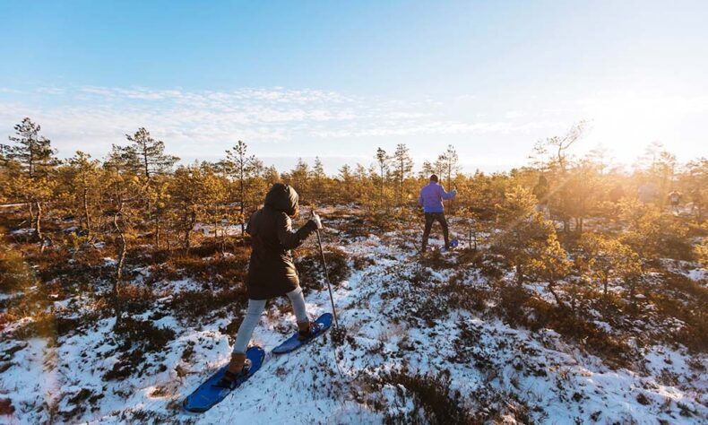 Group of people hiking in Estonia's bog using snowshoes in winter