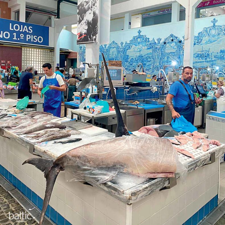 Mercado do Livramento - the best seafood market in world