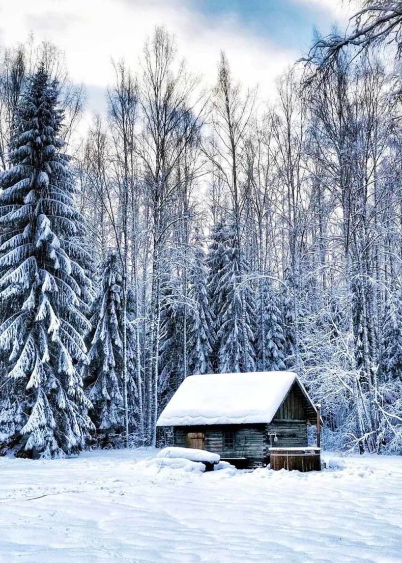 Sauna in the middle of snowy Estonian forest