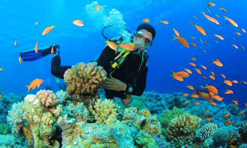 Scuba diving experience in Gran Canaria