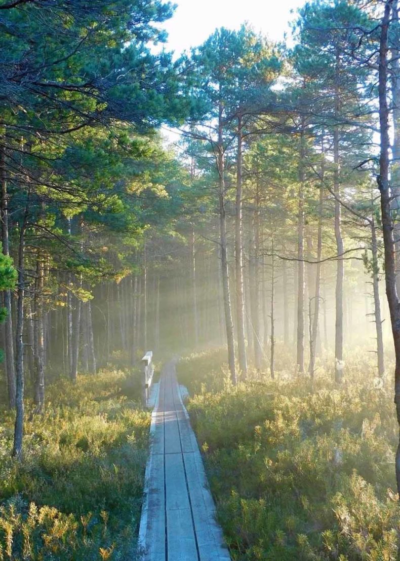 Soomaa national park in Estonia