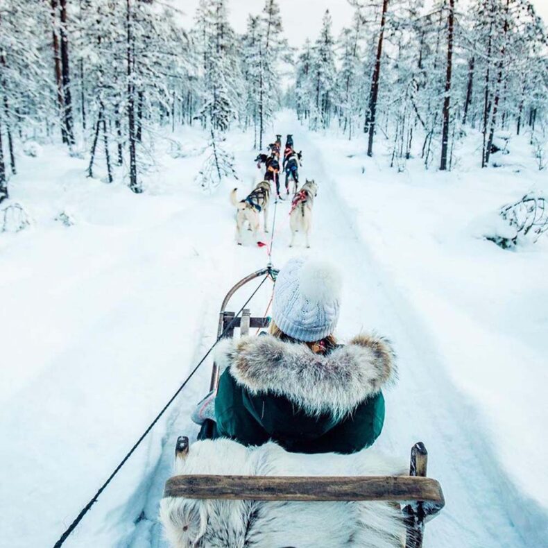 Husky sled rides in Kittila