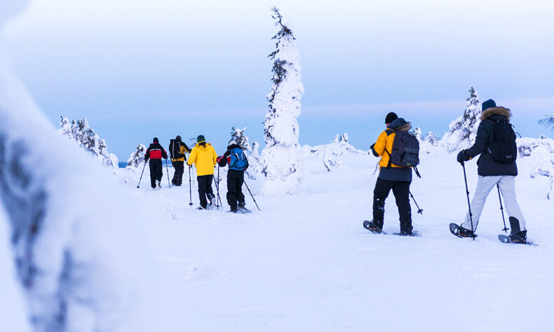 Snowshoeing in Lapland