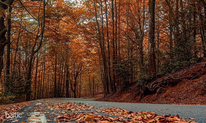 Visit Montseny park for hiking