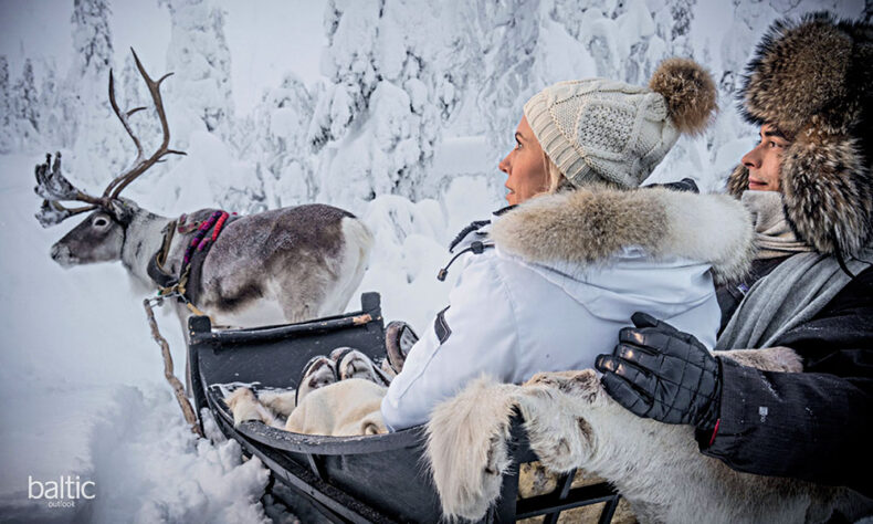 Enjoy sleigh drive pulled by reindeer
