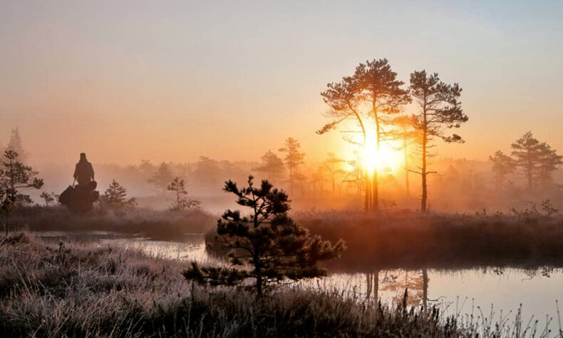 Spend a day in nature by bog hiking