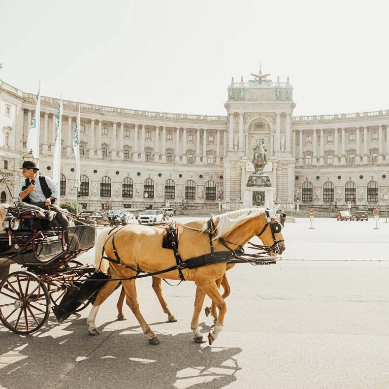 In Vienna, you don’t need to plan a date; the city does it for you