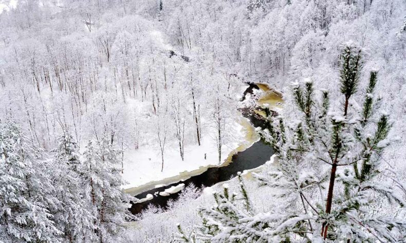 Admire the winter scenery from the scenic viewpoints at Pūčkoriai