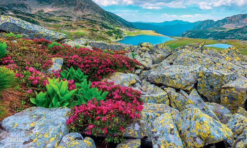 Experience Retezat National Park's impressiveness by hiking; the most popular is the Bucura Lake trail