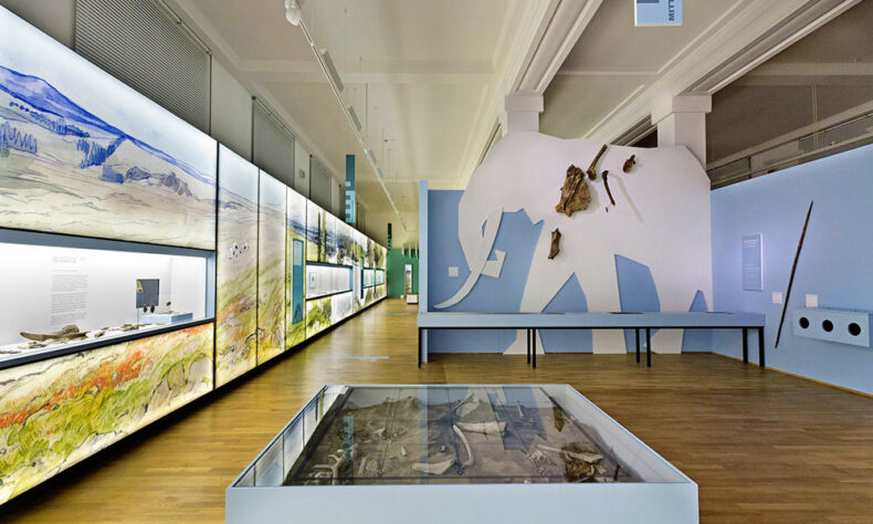 The Lower Saxony State Museum has a vast collection of natural history artefacts