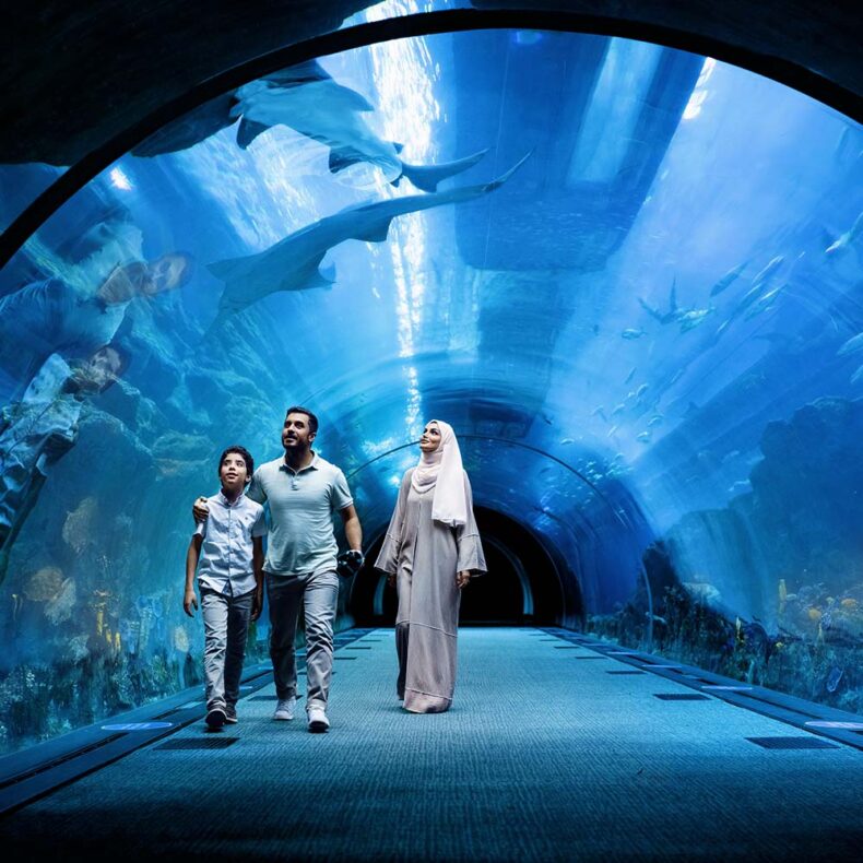 While shopping in Dubai Mall, don't forget to visit Aquarium & underwater zoo