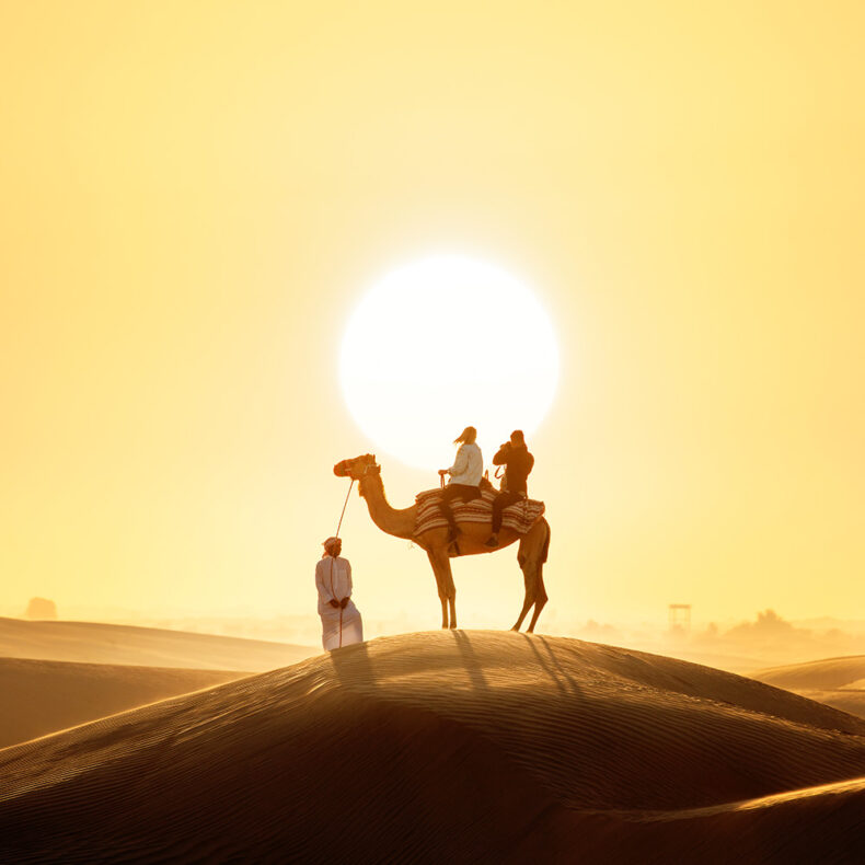 For a romantic experience in the Dubai desert - book a camel tour