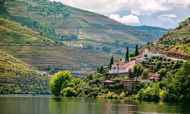 Visit the Douro Valley for its local wines, admirable views, and enjoyable foo
